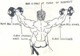 Remember, specificity requires that you choose exercises that reflect your needs and goals. Proper Lateral Raise Form For Bodybuilding Rdlfitness