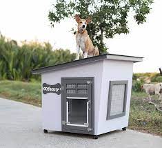 บ านหมา eco 8 900 ในป 2021 บ านหมา บ านส น ข ส น ข