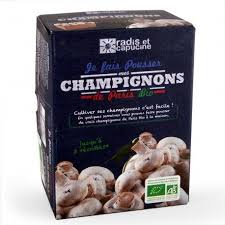 Kit De Champignons De Paris En Format Reduit En 2020 Champignon Culture Champignon Champignon De Paris