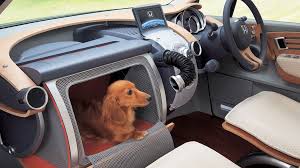 Check spelling or type a new query. Honda A Creat Candva O MaÈ™inÄƒ Cu Locuri Speciale Pentru CÄƒÈ›ei È™i Era BestialÄƒ