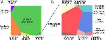 carbon sinks pie chart google search carbon sink fungi