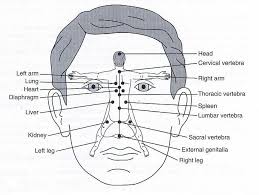 Nose Acupuncture Acupuncture Acupressure Acupuncture Benefits