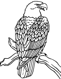 Coloring Panosundaki Pin