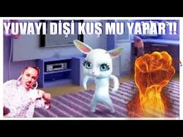 Yuvayi Disi Kus Yapar Meselesine Son Noktayi Koyduk Dinle Youtube Kus Youtube Kedicik
