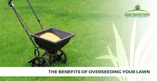 To get your lawn ready for overseeding, you want to do everything you possibly can to give your new seeds the best chance to grow. The Benefits Of Overseeding Your Lawn Lawn Control Center