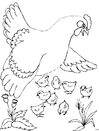 Henne Mit Vielen Kueken Ausmalbild Malvorlage Tiere