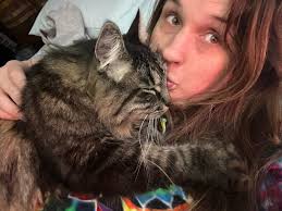 Lost Dog Found Safe in Northeast Pa