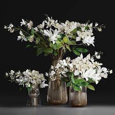 Pin On Flowers