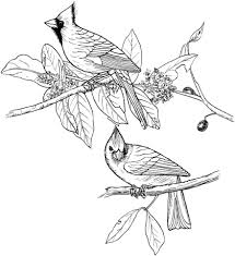 Red Cardinals Coloring Page From Northern Cardinal Category Select From 22041 Bird Coloring Pages Coloring Pages Coloring Books