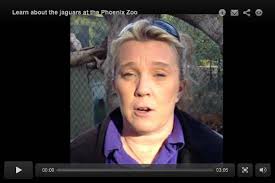 I baited jaguar trap, research worker says