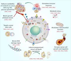 A new study revealed what could be … Changing The Face Of Cancer Treatment Care Oncology