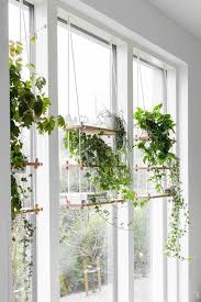 Las plantas colgantes están muy de moda. 8 Formas De Decorar Con Plantas Colgantes En Casa Decoracion