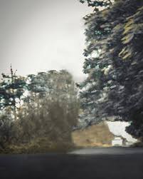 Cb Nature Background Hd Download You Can Download Them In Psd Ai Eps Or Cdr Format Hello, guys if you are finding cb background for photo editing so don't worry today i am providing you 300 cb background friend. vinteeseis