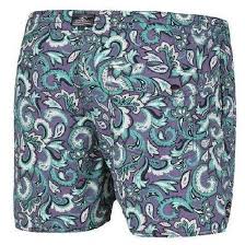 O Neill Dune Discoveries Shorts Aop Swimwear Purple Men S