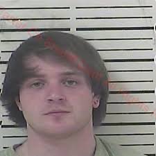 Star Wars: Mark Hamill Expresses Sympathy for Alleged Tennessee Felon Luke Sky  Walker