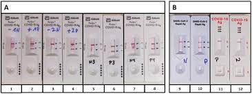 Abbott has been vaccinated and is displaying no symptoms, the governor's office said. Pathogens Free Full Text Limits And Opportunities Of Sars Cov 2 Antigen Rapid Tests An Experienced Based Perspective Html
