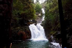 Maybe you would like to learn more about one of these? Pelos Trilhos De Portugal Quedas De Agua Das Paredes Mortagua Descla