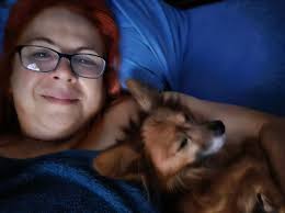 Papillon mix breed characteristics and owner experiences