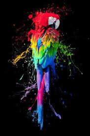 Bird That Sounds Like A Squeaky Toy At Night Epingle Par Madeleine Mcbride Sur Colors Dessin Perroquet Art Colore Arc En Ciel Couleur