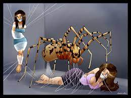 Spider bondage