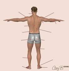 2 adding the magnitude of the forces. Welsh Body Parts Back 1 Diagram Quizlet