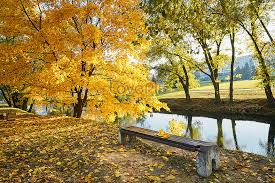 Het wapen van griekenland is een blauw met wit kruis en een krans van bladeren eromheen. Herfst In Wit Rusland Gratis Afbeelding Downloaden Foto 501153106 Nl Lovepik Com