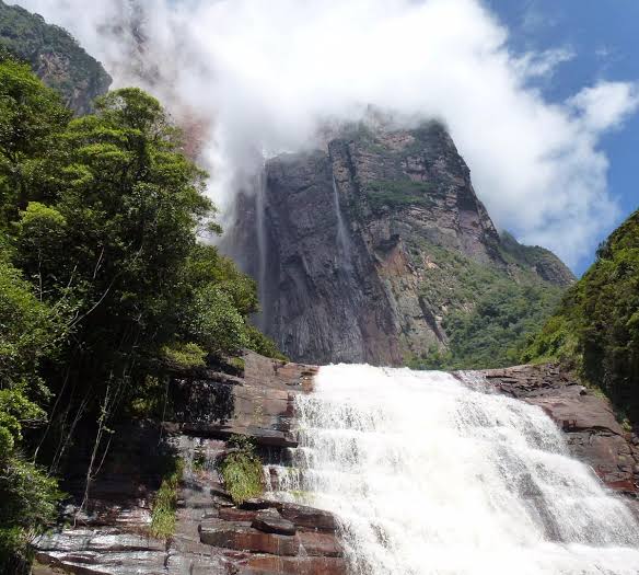 Angel Falls - All You SHOULD Know Before Going (2026 Reviews)