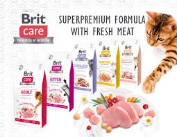 Real, good food for dogs & cats. Pet Food Sale For Dogs And Cats Brit