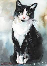 pin on cat art