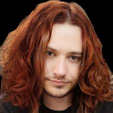 Amazon.com: RESTCLOUD 7Pcs Wolf Toy Figurines Set Wolf Animals Figures  (Wolf Set B) : Toys & Games