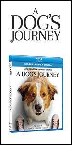 Living clean_ the journey continues.pdf. Amazon Com A Dog S Journey Movie Tie In A Novel A Dog S Purpose 2 9781250225344 Cameron W Bruce Books