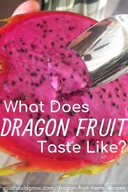Learn How To Eat Dragon Fruit 23 Recipes Recipes Dragonfruit Recipes Dragon Fruit Dessert