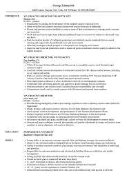 In this section, we're going to cover 40+ resume objective examples for every field, as well as examples for the top 3 most common cases. Vp Creative Director Resume Samples Velvet Jobs
