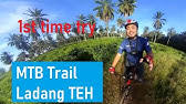 Ladang teh seri cheeding telah dibuka pada tahun 1927 dengan keluasan 210 ekar dan dikendalikan oleh boh plantations serta terkenal dengan ladang teh tanah rendah. Ladang Teh Sri Cheeding Mtb Trail Ride 2 0 Youtube