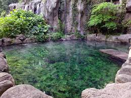 Sungai serai hot spring is native hot spring water with a temperature of more than 50℃. Hot Spring Pool In Ipoh Malaysia Ipoh Malaysia Ipoh Hot Springs