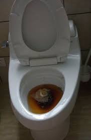 Check spelling or type a new query. 19 Clogged Toilet Ideas Clogged Toilet Toilet Toilet Drain