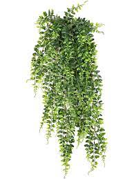 Buy Fern Boston Hanging Bush 8fw01400n Nieuwkoop Europe