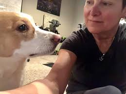 When the garage gym is too cold to workout , there is always an alternate.