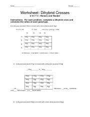 Start a free trial now to save yourself time and. Answers For Dihybrid Worksheet Name Period Worksheet Dihybridcrosses Unit3 Genetics Step 1 Step 2 Step 3 Step 4 Step 5 Compl Course Hero