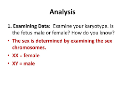 See pictures below of a set of male/female chromosomes, also called a karyotype. Exploration Lab Karyotyping Ppt Download