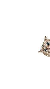 Check spelling or type a new query. Curious Cat Sneaking Up Iphone 8 Wallpapers Free Download