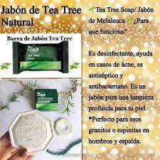 Jabon Tea Tree Para Piel Grasa Ayuda A Controlar El Acne Beauty Business Skin Care Beauty Influencer