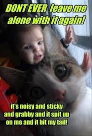 16 Expressions Of Scared Animals That Will Make You Just Laugh Funny Animal Pictures Funny Animals Funny Cat Pictures