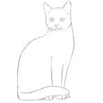 Join us as we draw a cat sitting using basic shapes and gesturing. How To Draw A Sitting Cat