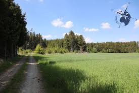 Just outside allentsteig there is a german world war ii cemetery with almost 3,900 graves. Natur 33 Allentsteig Wiewarsdort