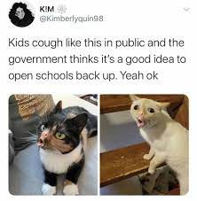 Pin By Janine Collins On Diy Pets Etc Kids Cough Grumpy Cat Humor Stupid Funny Memes