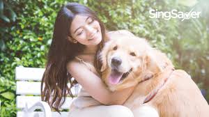 The Real Cost Of Owning A Dog In Singapore Singsaver