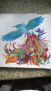 Free shipping on orders over $25 shipped by amazon. Coloring Book Birds