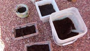 Maybe you would like to learn more about one of these? Burpee Eco Friendly Natural Amp Organic 8qt Concentrated Seed Starting Coir Brick Walmart Com Walmart Com