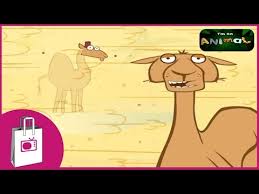 It is important that you consult the specific page for your state before embarking on the permit process. I M A Camel Youtube
